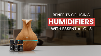 Benefits of Using Humidifiers with Essential Oils