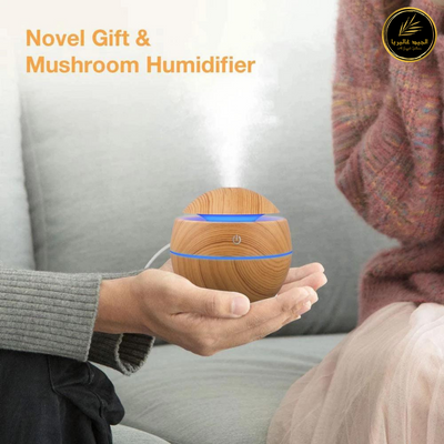 Air Humidifier by Al Jayyid Galleria for a gift.