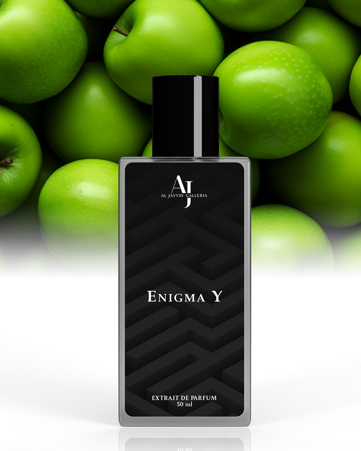 Enigma Y